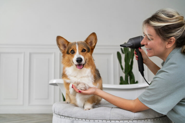 pet groomers near me