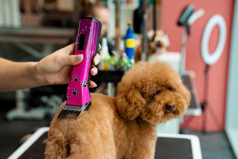 mobile dog grooming
