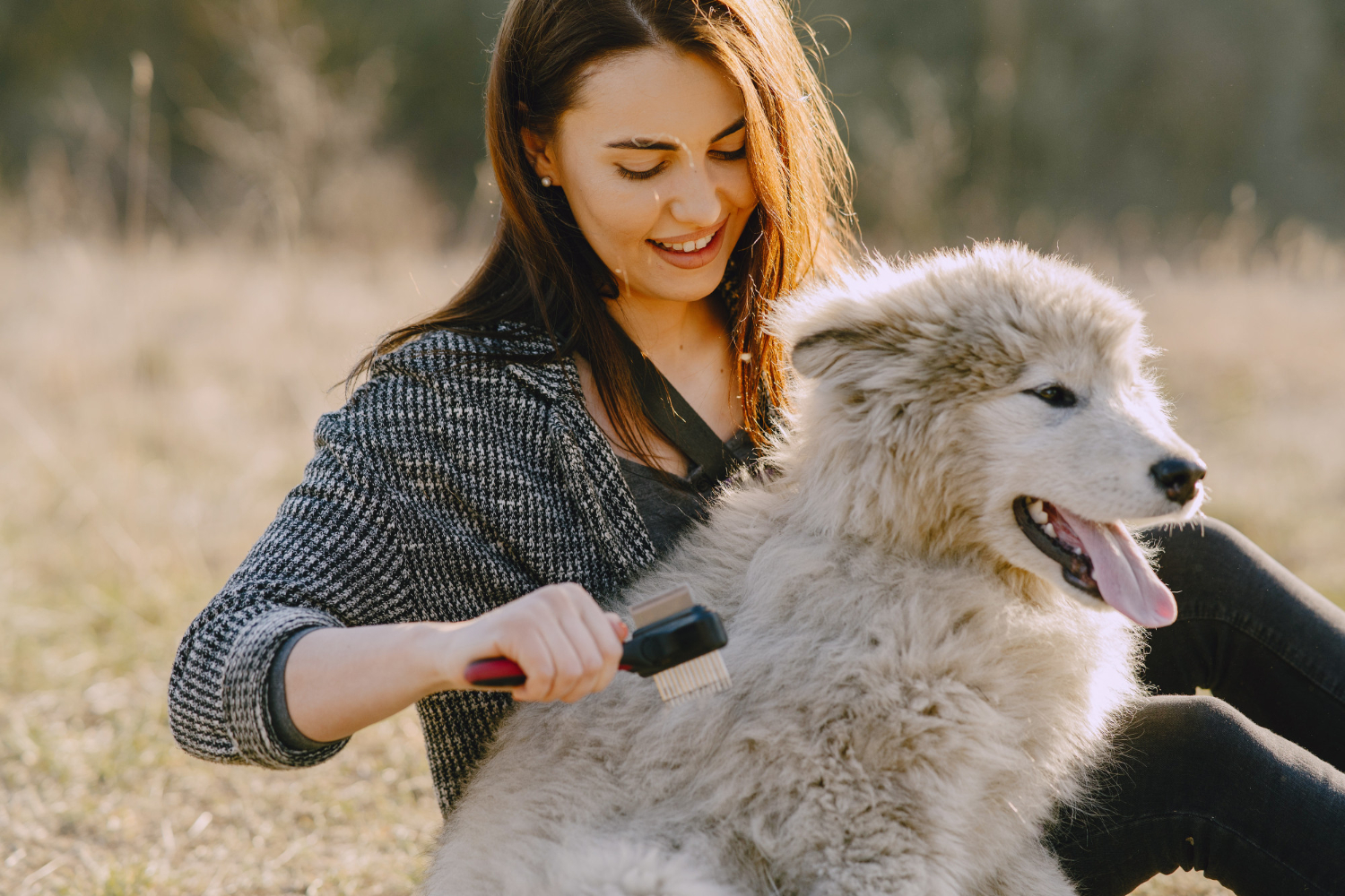 dog furminator treatment