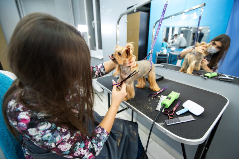 Best mobile dog grooming in Irvine