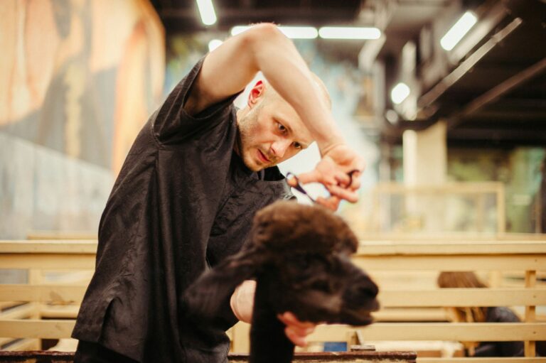 home dog grooming service